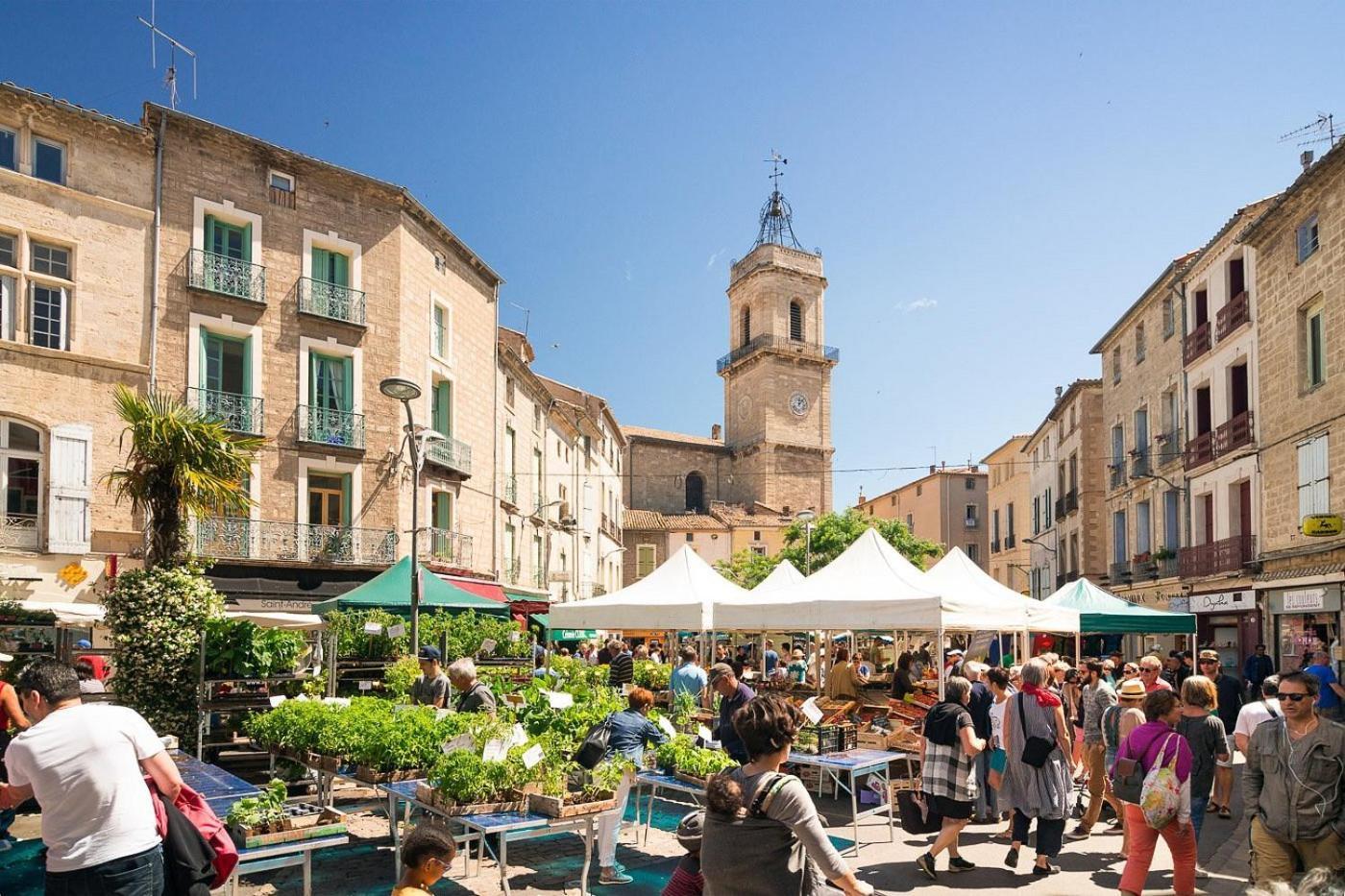 La Terrasse Du Clermontais 아파트 외부 사진